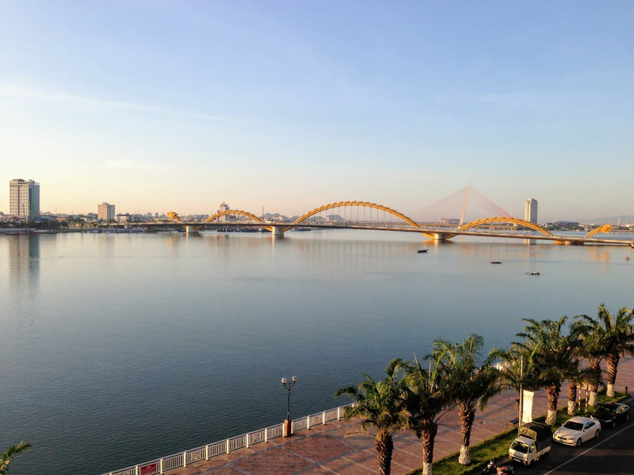 The Dragon Bridge across the Han River in Da Nang, with the city skyline and palm trees