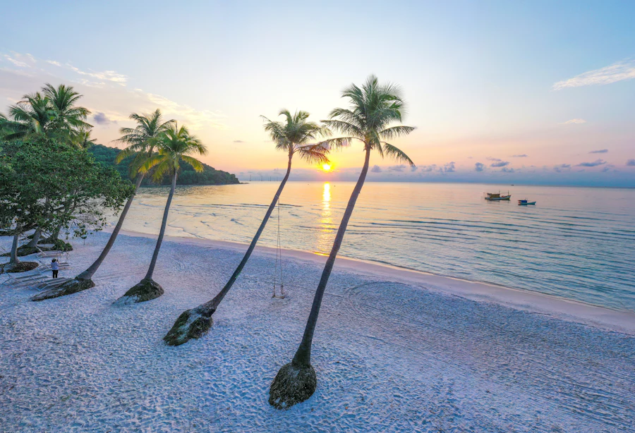 Leaning palm trees on a Phu Quoc beach at sunset